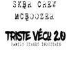 skbr crew & Mc boozer - Triste vécu 2.0 - Single